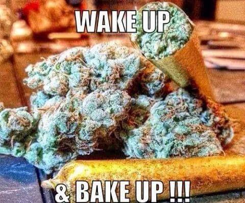 The Bar & Grill Formerly known as Steffi's Menu image 9